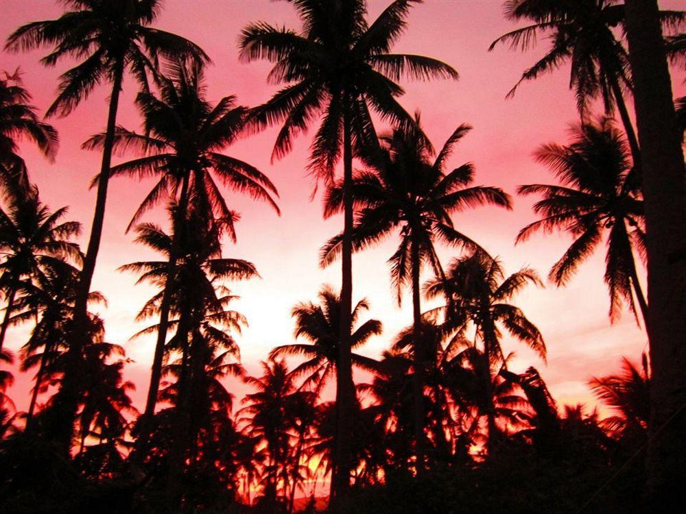 Balay De La Rama Bed & Breakfast Legazpi Exterior foto